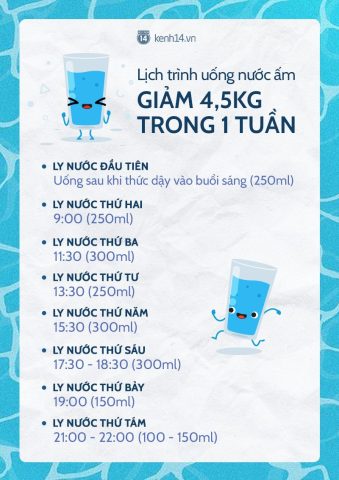 Lịch uống nước chi tiết hàng ngày để tối ưu hóa sức khỏe