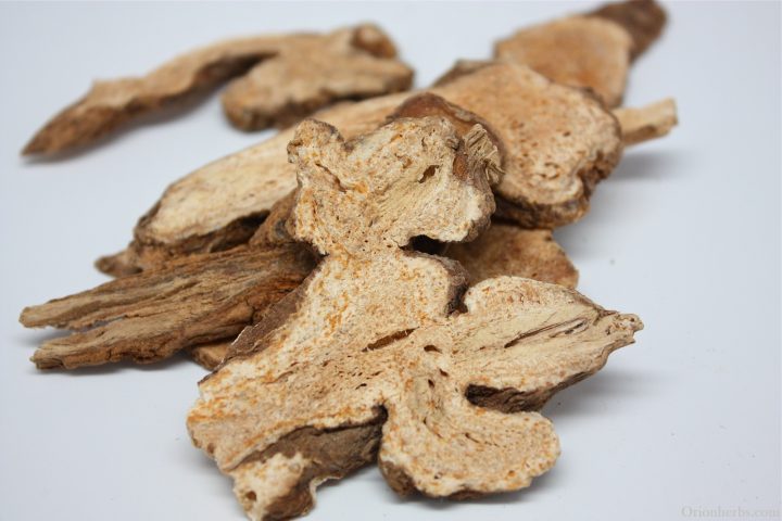 Bạch truật, vị thuốc quan trọng trong bài thuốc bồi bổ khí huyết