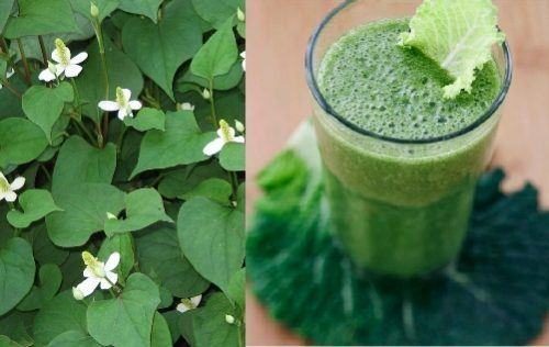 Bài Thuốc Chữa Bệnh Trĩ Của Bà Ở An Khánh: Thực Hư Và Lời Khuyên