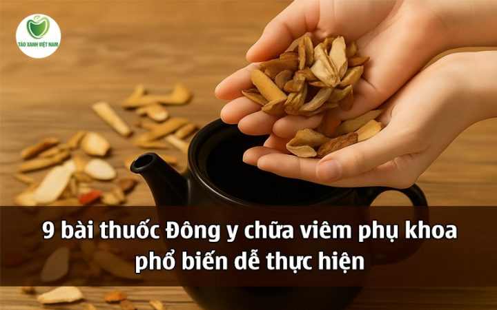 Các Vị Thuốc Đông Y Điều Trị Viêm Da Tiếp Xúc Hiệu Quả