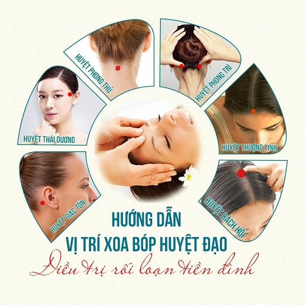 Liều Thuốc Dân Gian Chữa Bệnh Rối Loạn Tiền Đình: Hiệu Quả và Những Lưu Ý Quan Trọng