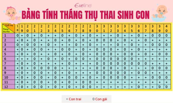 Biểu đồ dự đoán tháng sinh để lựa chọn giới tính em bé theo quan niệm dân gian, phục vụ mục tiêu sinh con theo ý muốn.