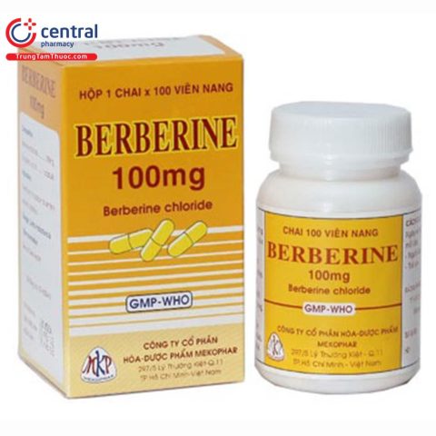 Giá thuốc Berberine 100mg Mekophar