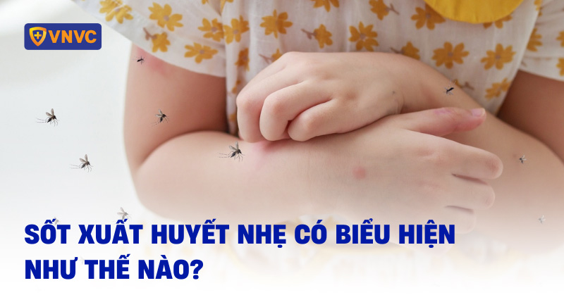 Y Lệnh Thuốc Dành Cho Người Sốt Xuất Huyết: Hướng Dẫn Chi Tiết
