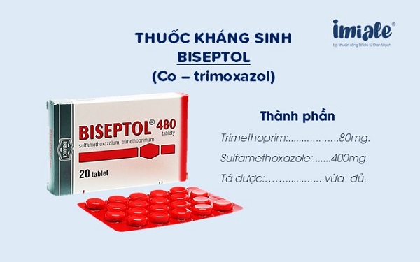 Các Loại Kháng Sinh Điều Trị Nhiễm Khuẩn Đường Ruột Hiệu Quả
