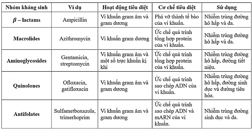 3 Thuốc Kháng Sinh Diệt Vi Khuẩn Gram Dương Phổ Biến