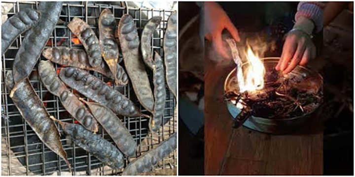 Tác Dụng Đốt Bồ Kết: Lợi Ích & Ứng Dụng Thực Tế Toàn Diện