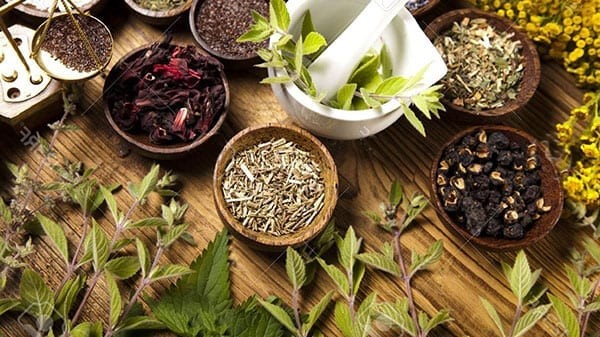 Thuốc Nam Gia Truyền Dân Tộc Mường Ngô Thị Thành: Bí Quyết Đất Mường