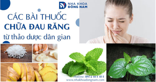 Kiểm Định Chất Lượng Thuốc Chữa Sâu Răng: Quy Trình Toàn Diện và Tầm Quan Trọng Kiểm Định Chất Lượng Thuốc Chữa Sâu Răng: Quy Trình Toàn Diện và Tầm Quan Trọng