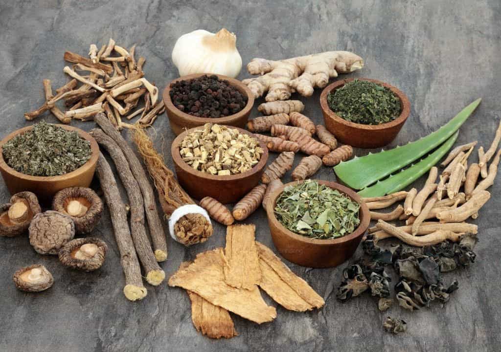Một Số Thuốc Cây Đông Y Phổ Biến Tại Trạm Y Tế Hiện Nay