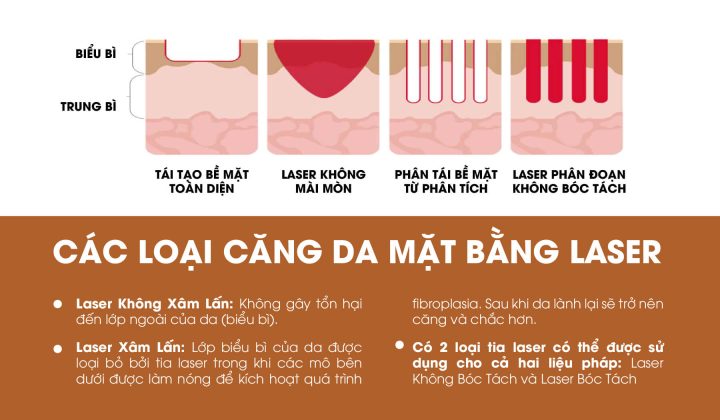 Cơ Chế Bệnh Sinh Hiện Tượng Bóc Tách Da Do Thuốc