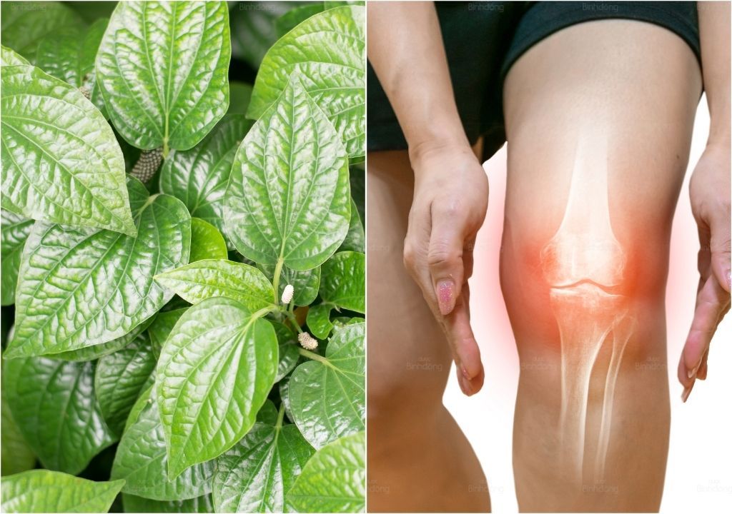 Bài Thuốc Dân Gian Chữa Đau Nhức Xương Khớp Hiệu Quả Tận Gốc