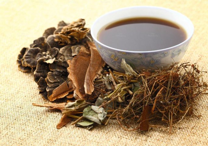 Tổng hợp các vị thuốc Nam bổ khí huyết hiệu quả trong Đông y