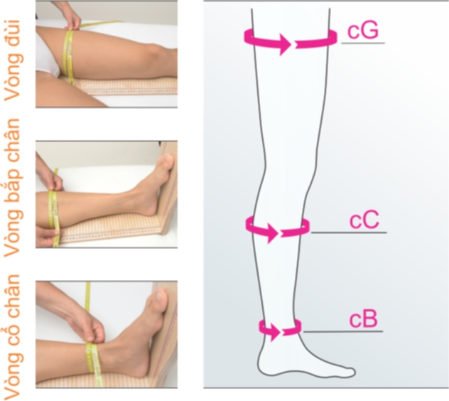 Hướng Dẫn Chi Tiết Cách Đo Vớ Y Khoa Chuẩn Xác Tại Nhà