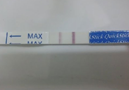 Que Thử Thai Quickstick Có Chính Xác Không? Giải Đáp Chi Tiết Que Thử Thai Quickstick Có Chính Xác Không? Giải Đáp Chi Tiết