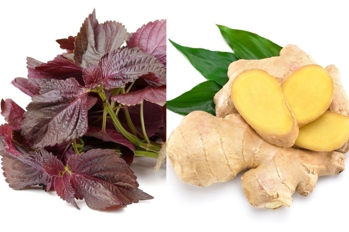 Những Bài Thuốc Chữa Bệnh Hay Từ Lá Tía Tô Hiệu Quả