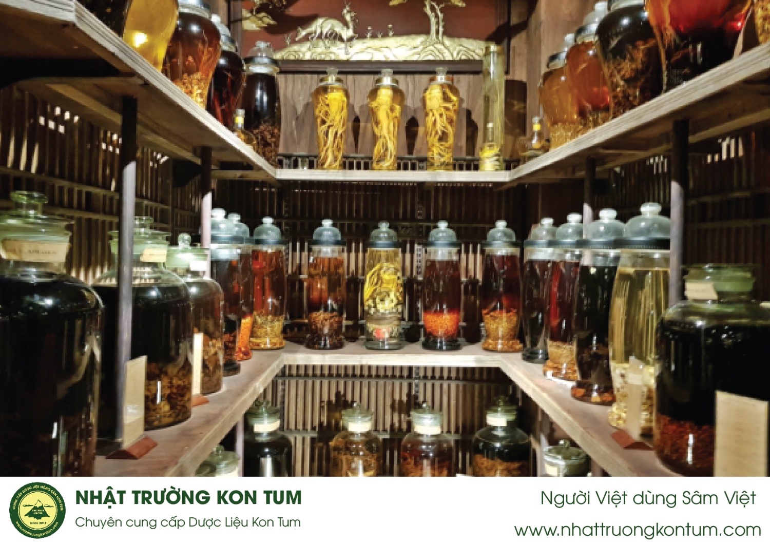 Các Loại Thảo Dược Ngâm Rượu Thuốc Bóp Tay Chân Hiệu Quả Nhất