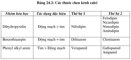 Cơ Chế Tác Dụng Của Thuốc Chẹn Kênh Calci Chi Tiết