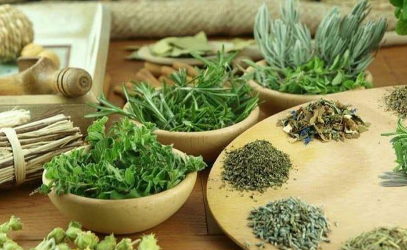 Thuốc Nam Gia Truyền Dân Tộc Mường Ngô Thị Thành: Bí Quyết Đất Mường