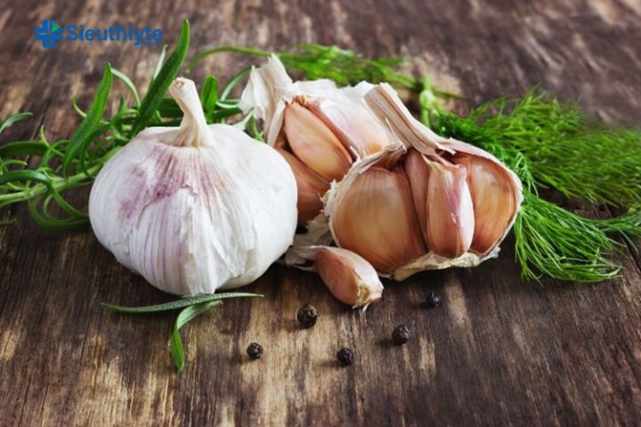 Hình ảnh minh họa cây thuốc nam chữa cao huyết áp hiệu quả