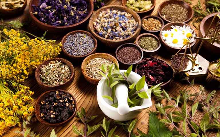 Một Số Thuốc Cây Đông Y Phổ Biến Tại Trạm Y Tế Hiện Nay
