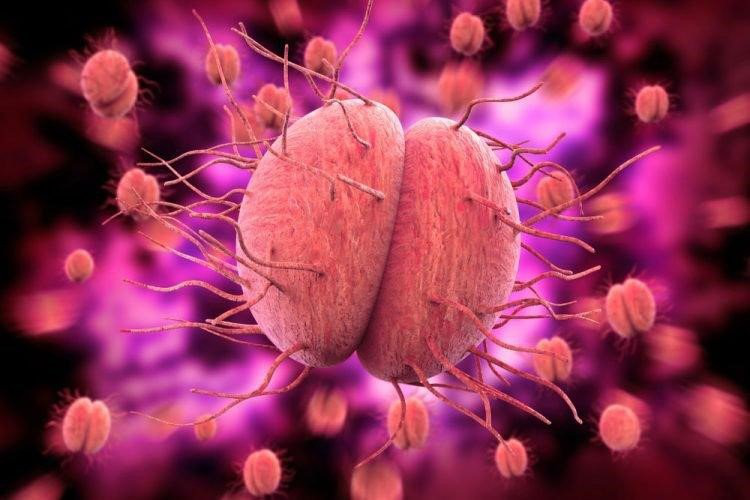Những Thuốc Gì Khi Cùng Lúc Nhiễm Chlamydia Với Lậu Hiệu Quả Nhất
