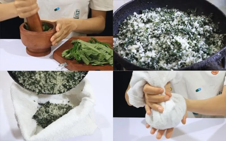 Lá lốt giúp giảm đau lưng và viêm khớp tự nhiên