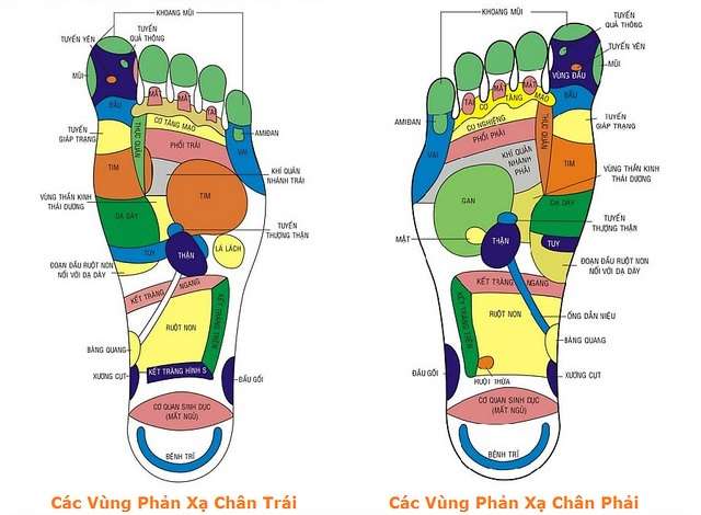 Bàn Massage Chân: Hướng Dẫn Toàn Diện Từ A Đến Z