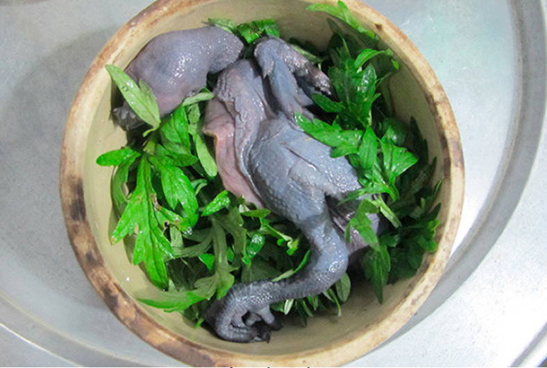 Đang cho con bú có uống thuốc bắc được không? Giải đáp từ chuyên gia Đang cho con bú có uống thuốc bắc được không? Giải đáp từ chuyên gia