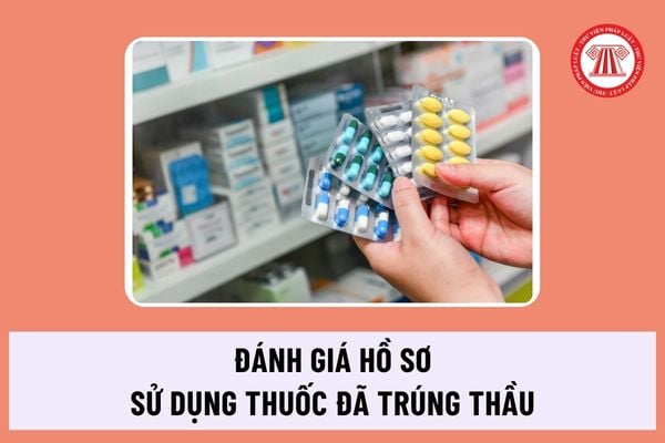 Các Phương Pháp Đánh Giá Hồ Sơ Dự Thầu Thuốc Hiệu Quả Nhất