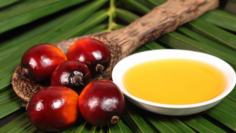 Dầu Coh Bemun Có Bán Ở Tiệm Thuốc Tây Không: Giải đáp chi tiết