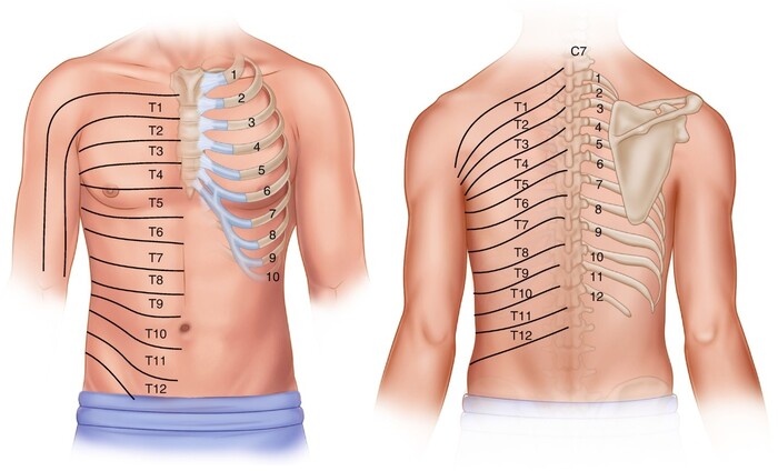 Đau Dây Thần Kinh Liên Sườn Uống Thuốc Đông Y: Giải Pháp Toàn Diện
