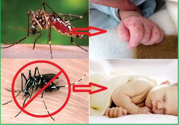 Phun thuốc muỗi có hại cho trẻ sơ sinh không: Giải pháp bảo vệ an toàn Phun thuốc muỗi có hại cho trẻ sơ sinh không: Giải pháp bảo vệ an toàn