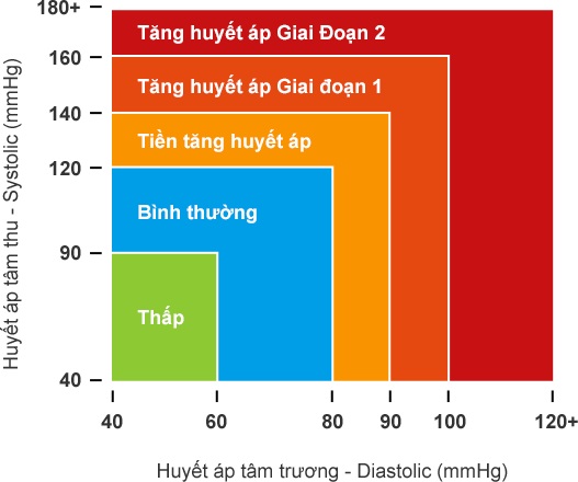 Điều Trị Tăng Huyết Áp: Hướng Dẫn Chi Tiết & Giải Pháp Toàn Diện