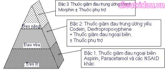 Các Bậc Của Thuốc Giảm Đau Bậc 1, 2, 3: Phân Loại và Ứng Dụng