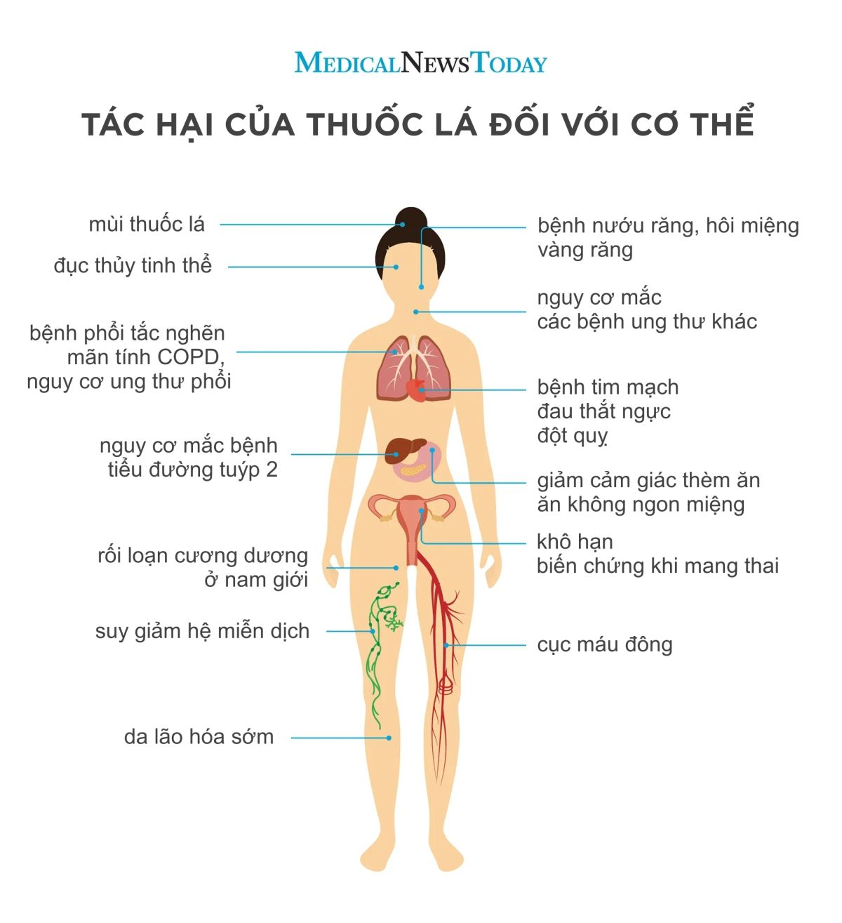 Các Loại Thuốc Ảnh Hưởng Đến Chỉ Số Cơ Thể Cần Lưu Ý
