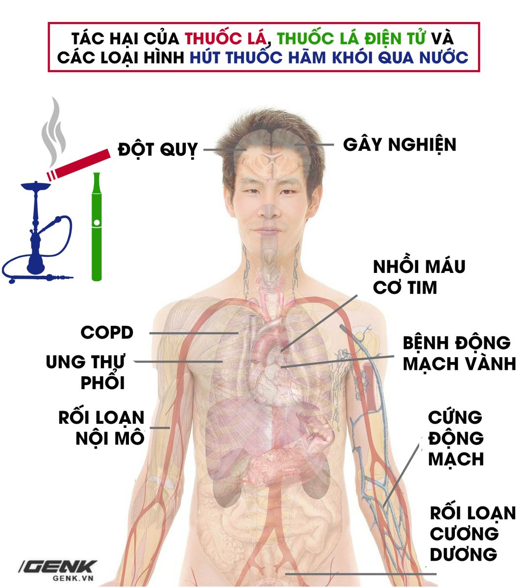 Kế hoạch phòng chống tác hại thuốc lá tỉnh BRVT toàn diện