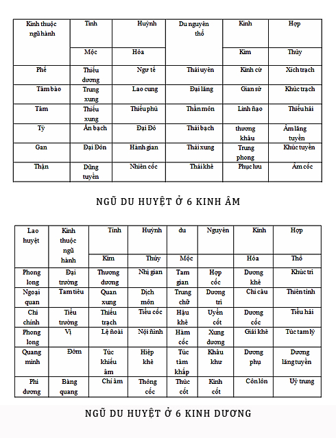 Ngũ Du Huyệt: Khái Niệm, Vị Trí Và Ứng Dụng Trong Y Học Cổ Truyền