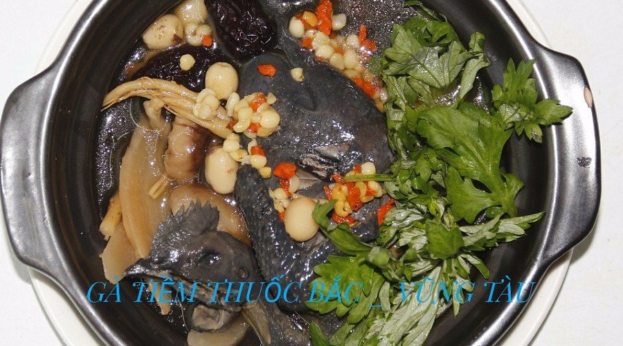 Gà Tiềm Thuốc Bắc Xô Viết Nghệ Tĩnh Vũng Tàu: Top Địa Chỉ Ngon