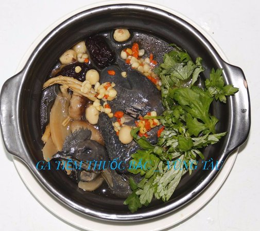 Gà Tiềm Thuốc Bắc Xô Viết Nghệ Tĩnh Vũng Tàu: Top Địa Chỉ Ngon