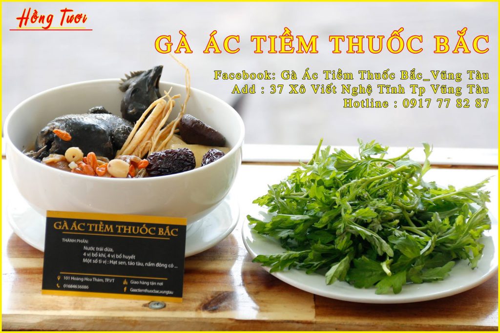 Gà Tiềm Thuốc Bắc Xô Viết Nghệ Tĩnh Vũng Tàu: Top Địa Chỉ Ngon