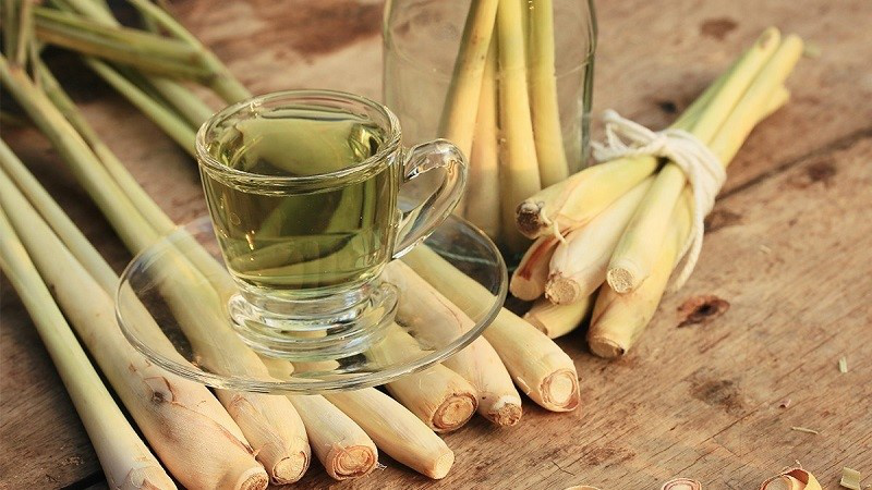 Giảm Mỡ Bụng Bằng Nước Sả: Phương Pháp Tự Nhiên Hiệu Quả Giảm Mỡ Bụng Bằng Nước Sả: Phương Pháp Tự Nhiên Hiệu Quả