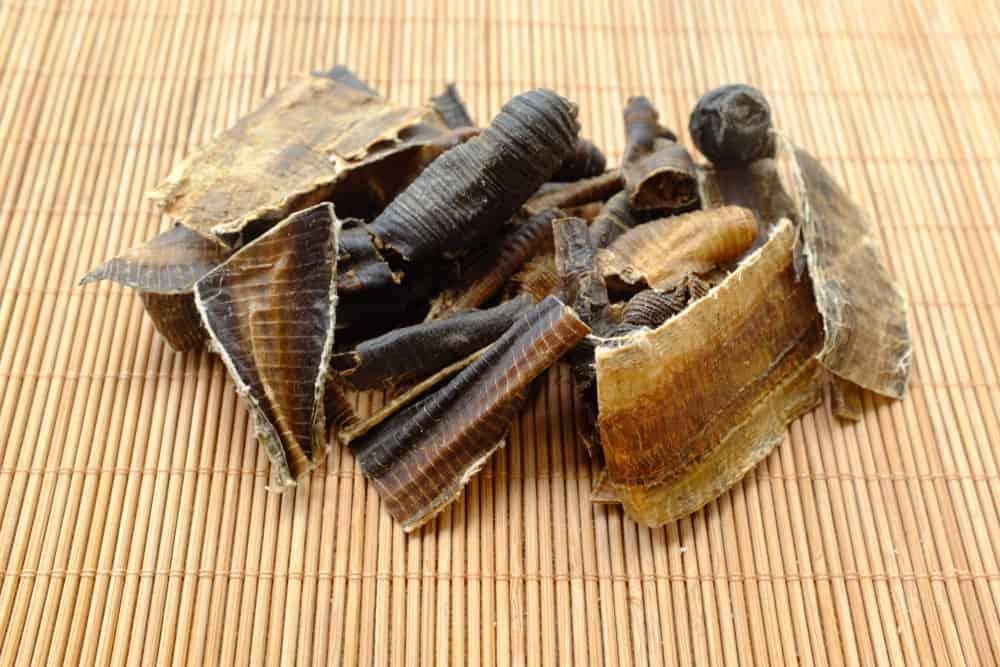 Địa Long: Tổng Quan Chi Tiết Về Dược Liệu Quý Trong Y Học