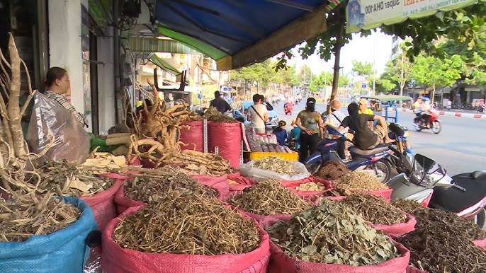 Phát triển thị trường thuốc Đông y: Chiến lược và tiềm năng bền vững