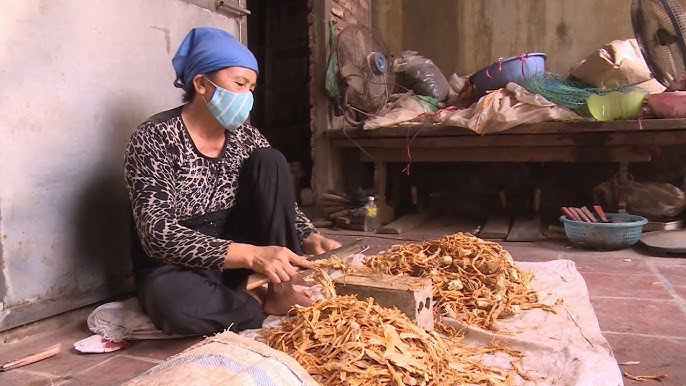 Phát triển thị trường thuốc Đông y: Chiến lược và tiềm năng bền vững