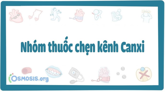 Chống Chỉ Định Nhóm Thuốc Lợi Tiểu Chẹn Kênh Calci: Hướng Dẫn Chi Tiết Chống Chỉ Định Nhóm Thuốc Lợi Tiểu Chẹn Kênh Calci: Hướng Dẫn Chi Tiết