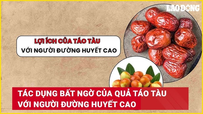 Tác Dụng Của Quả Táo Tàu Vị Thuốc Đông Y Trong Y Học Cổ Truyền Và Hiện Đại