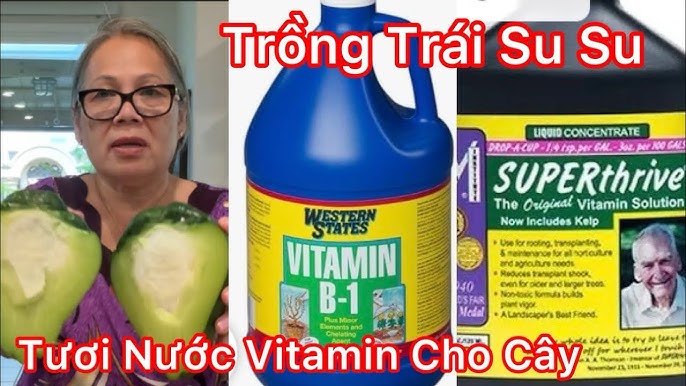 Nước Vitamin B: Lợi Ích, Cách Dùng và Những Điều Cần Biết