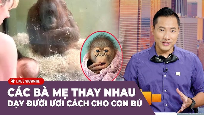 Mẹ cho con bú bị ho nên uống thuốc gì: Lựa chọn an toàn Mẹ cho con bú bị ho nên uống thuốc gì: Lựa chọn an toàn