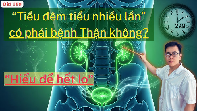 Bài Thuốc Dân Gian Chữa Bệnh Đi Tiểu Nhiều Lần Hiệu Quả, An Toàn